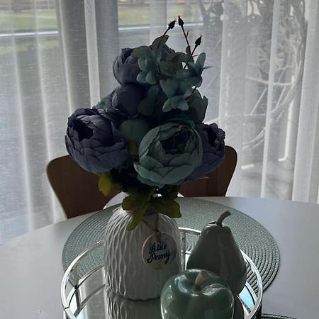 Blue Peony Daire Druskininkai Dış mekan fotoğraf